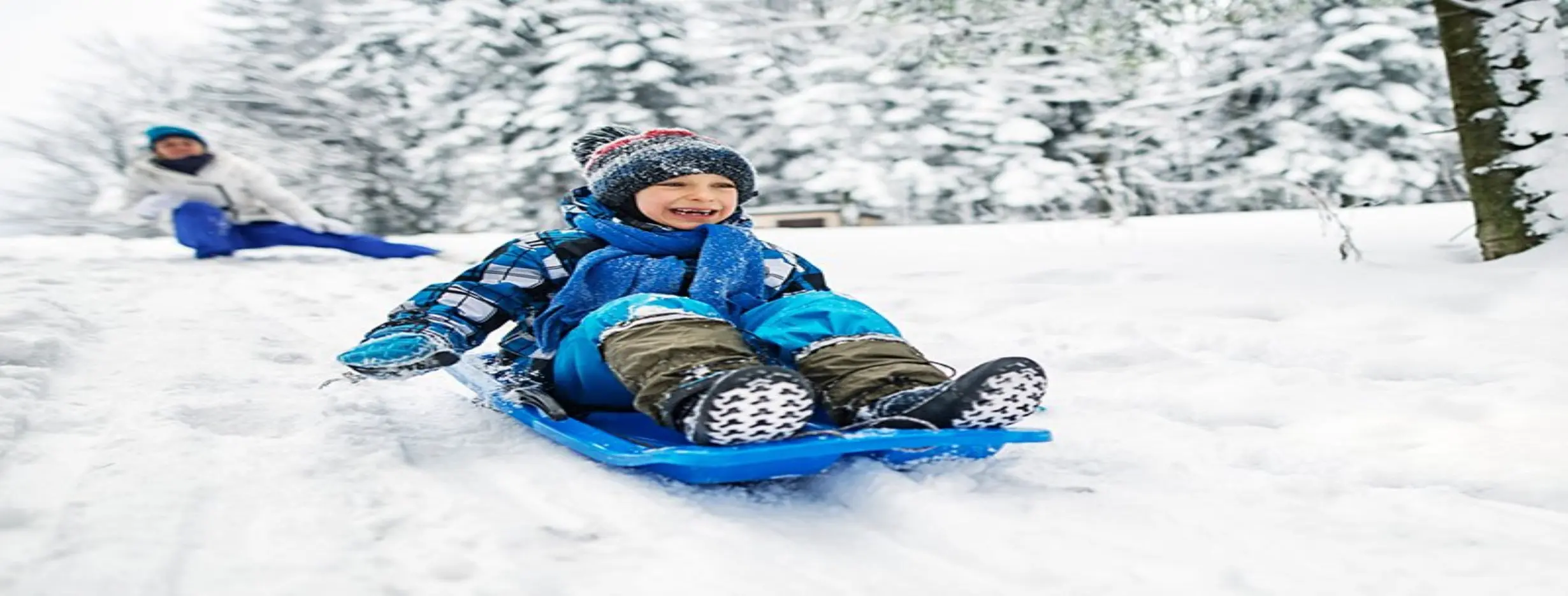 Image for Snow Sledding